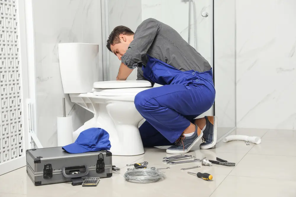 Toilet Installation in Woodside East